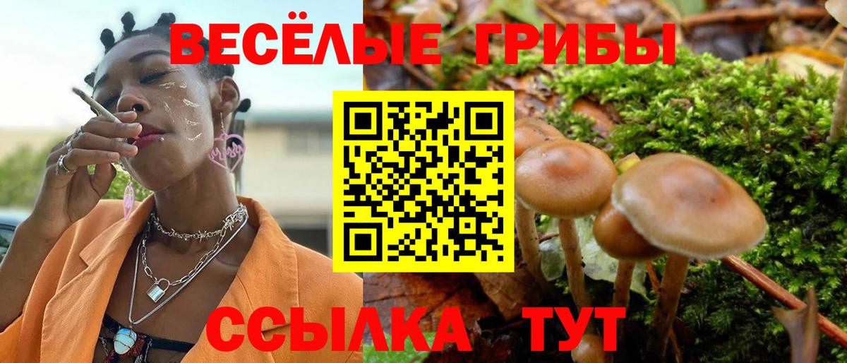 Псилоцибиновые грибы мухоморы  Вход с VPN  Ливны 